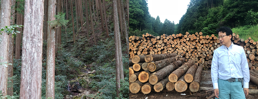 「都会の暮らし」と「身近な森」をむすぶ