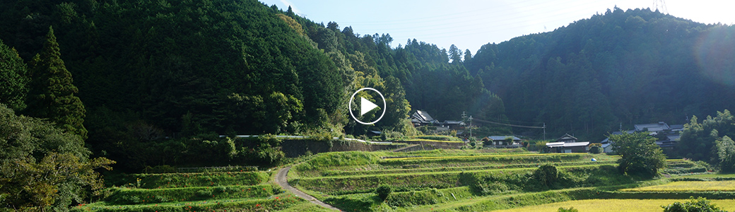 「JIMOTO table」紹介 MOVIE